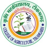 College Logo